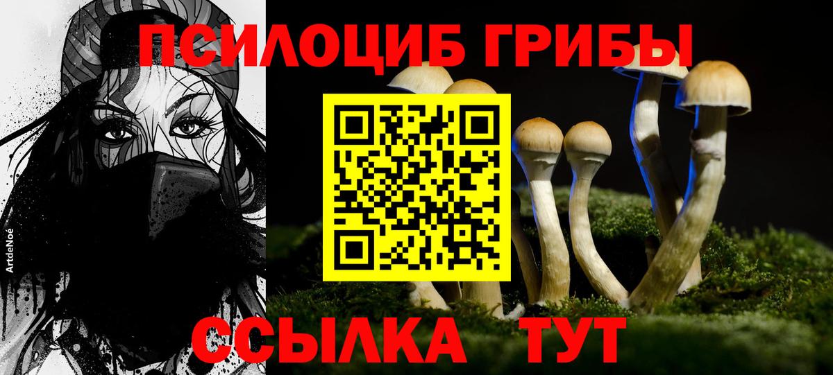 что такое   Вход с VPN  Новороссийск  Псилоцибиновые грибы Psilocybe 